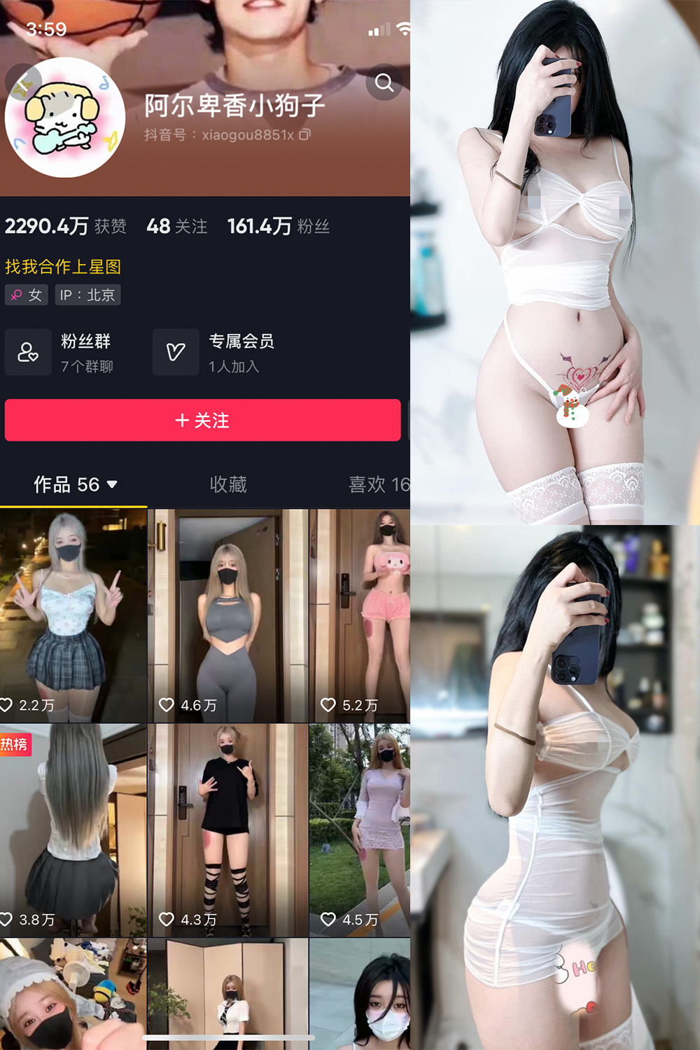 抖音 阿尔卑香小狗子 微密圈 NO.051期 【33P】